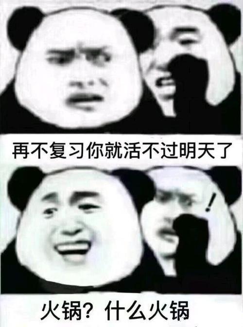 每日一更,最新热门熊猫头泡妞表情包