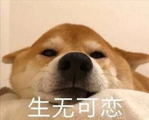 床仙似神仙,但你可不能上天哟