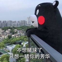 看球不如撩人,撩人不如边看球边撩人,世界杯土味儿情话满分了解一下