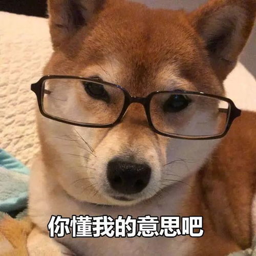 那些你在焦虑的事儿,法国年轻人也在焦虑