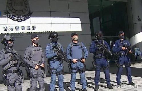 庆回归,港警三支反恐部队新装亮相,战衣为内地制作