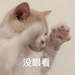 宇宙猫表情包