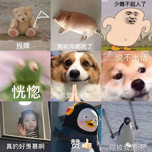 救命表情包图片离谱