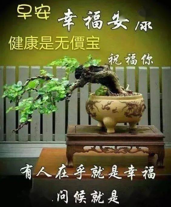 聊天不用打字的祝福图片,健康是无价宝,你我都珍惜