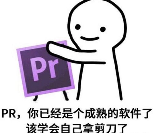 如何快速掌握基础剪辑技巧这些分享让你少走歪路
