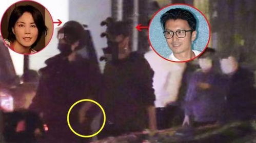 怕王菲吃醋谢霆锋与女粉合照单手插兜,表情站姿全程不变似雕塑
