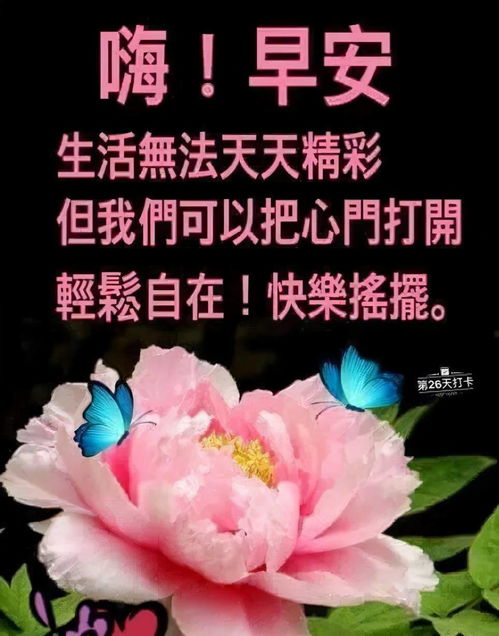 只有用心去生活,生活才能更美好更幸福,早安