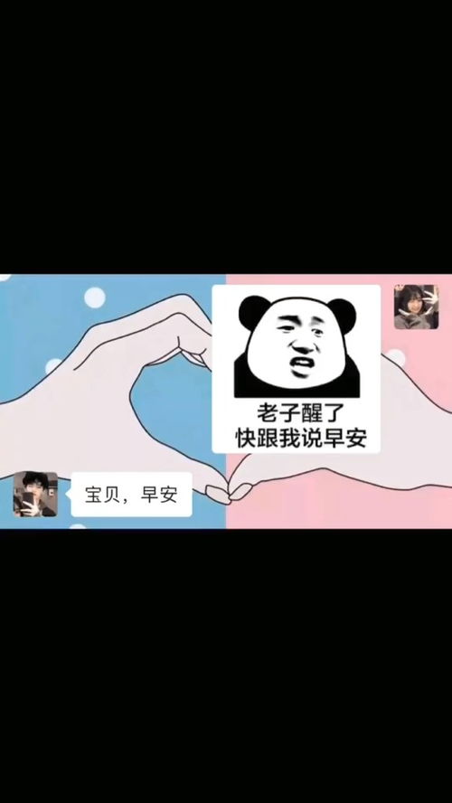 我仗着你爱我对你为所欲为表情包小可爱已上线