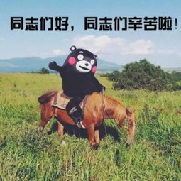 这货不是乌迪尔表情包熊样