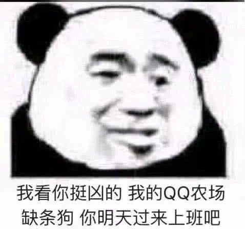 对方对你爆粗口表情包炸过去下次再掉厕所我就不要你了