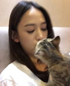 陈乔恩晒被猫咪强吻照网友放开那只猫
