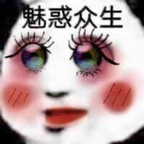 跟别人聊天时候,老是发一些表情包,不知道应该聊点啥,应该怎样聊天