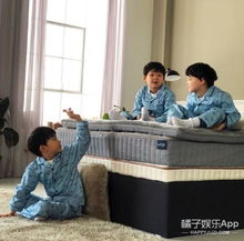 还记得我们的表情包咕咕宋民国吗他和他的兄弟们都长大啦
