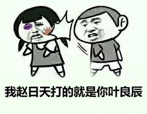 关于叶良辰的表情图片叶良辰赵日天聊天魔性表情