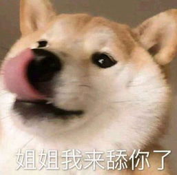 魔兽世界8.2最新剧情副本,精灵女王全面来袭,艾泽拉斯战火重燃