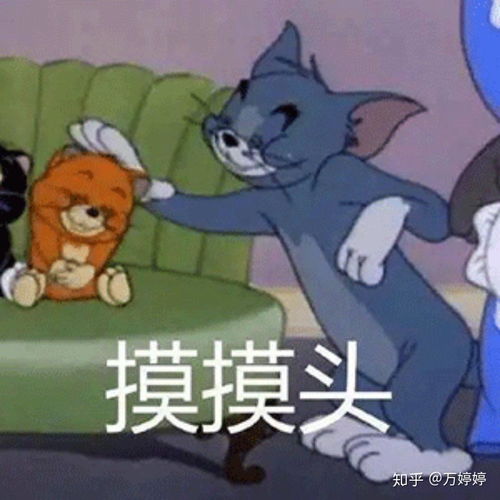 成都隆鼻整形亲身经验分享避雷庸医,成都鼻综合详细功课