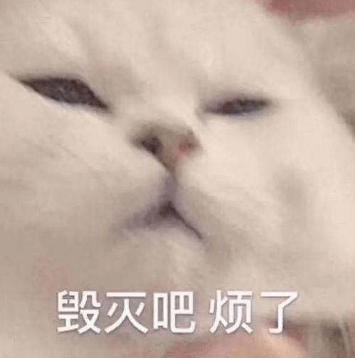 你不结婚老了谁照顾你只要我死的够快,没有人照顾我