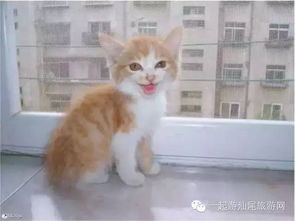 据说,最近汕尾这些上班族频频这样