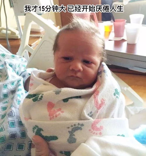 宝宝表情包搞笑凡士林