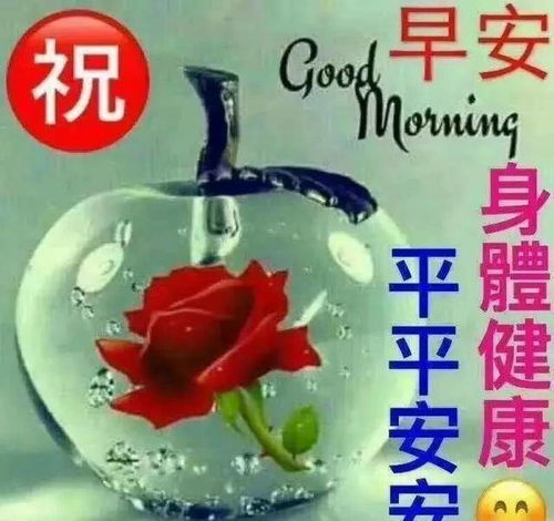 早上好问候祝福动态表情图片大全最新早安问候语动态图片表情