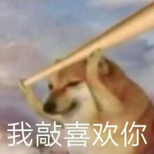 拔腿毛表情包沙雕