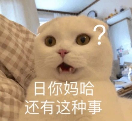 喵喵表情包丨人家就是不行,就是爱哭鬼