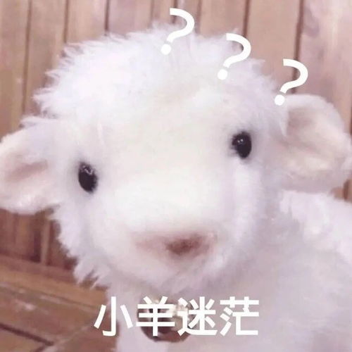 教资认证了一门学科,想考另一门学科,前两个科目还需要重新考么