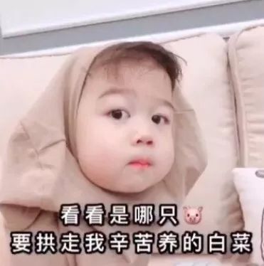 沙雕斗图聊天表情包i你清醒一点