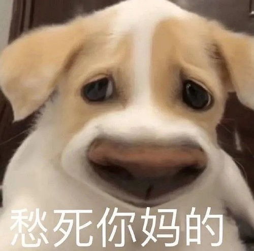 我的收藏
