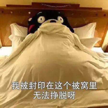 玉田视线的个人展示页