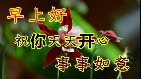 正月十二早上好表情包,早安问候祝福语图片精选