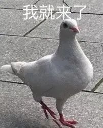 免门票开放网络安全科技馆预约系统即将上线附预约入口