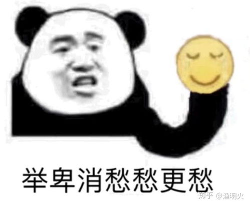 lofter被拉黑怎么私信回去