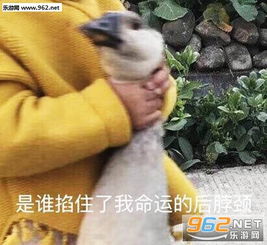 是谁掐住了我命运的后颈皮表情包图片撤回收声把那碗饭给我表情包下载乐游网游戏下载