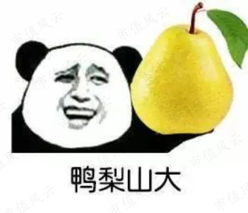 工业母机巡礼之亚威股份赚钱虽不多,年年都分红,变身国资控股后或是星辰大海