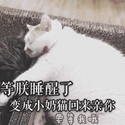 农村人必须知道的过年习俗