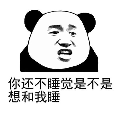 今日份表情包