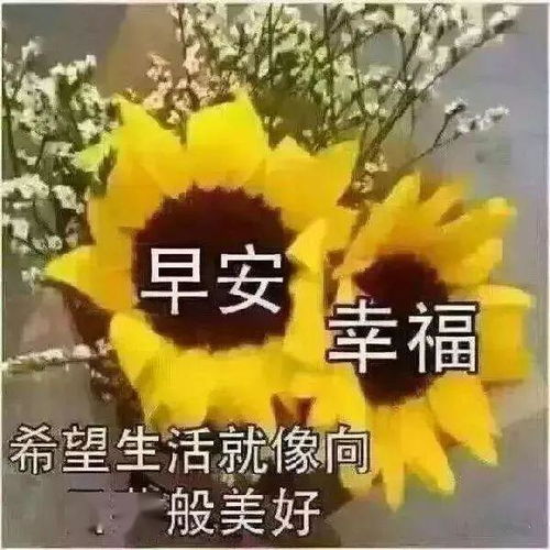 最漂亮早安问候祝福语动画表情动态图片,温馨早安问候语图片带字