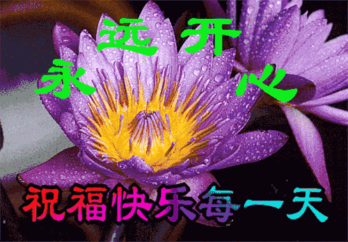 鼠年新版早上好动态祝福表情图片朋友圈暖心早安问候大全