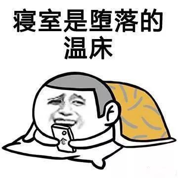 打卡我的假大学