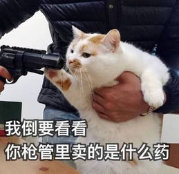 十一奇葩事因为蹦不了迪,我的学妹像吸毒上瘾一样哭了