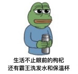 怎样看待叠纸公司发行的乙女向手游恋与制作人