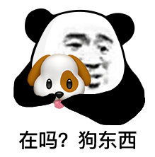 表情包谁看了不说一句宁真行