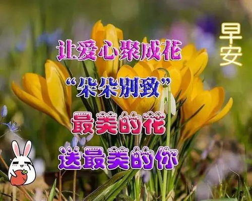 周六早安问候语表情图片微信早安问候语句