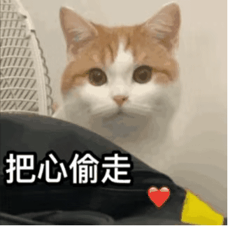 沙雕表情包我急了