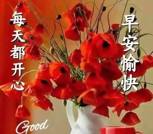 春天早晨好清爽幸福励志语短信,早安问好唯美表情图片