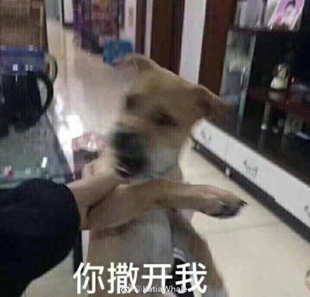因为什么你才会被父母打