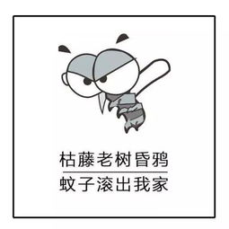 表情包夕阳无限好,就怕蚊子咬,蚊子表情包
