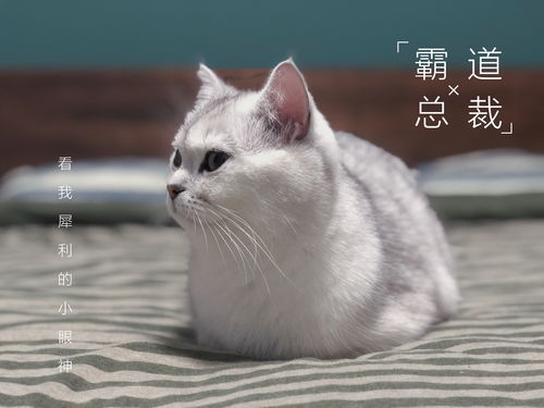 原因