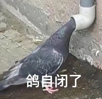 史诗级跳票王dnf手游预注册开启,鸽王迷途知返了